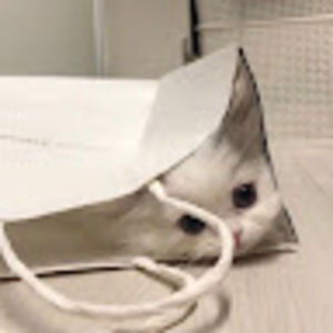 Meet your Posher, Iris